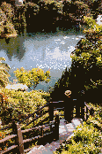 Overlooking Lake Shrine